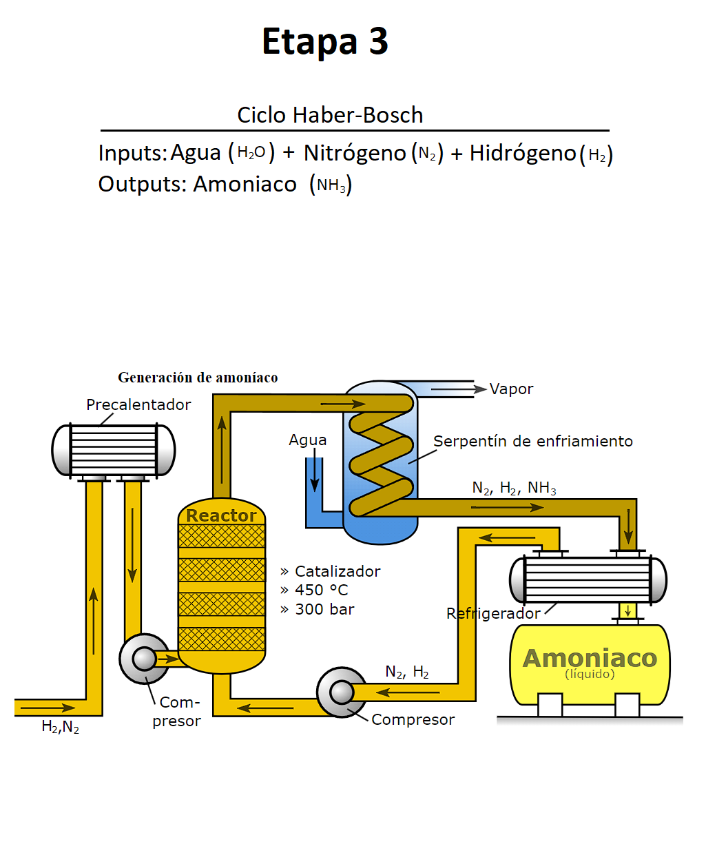 Triple Phase Red Ammonia Process Part 3